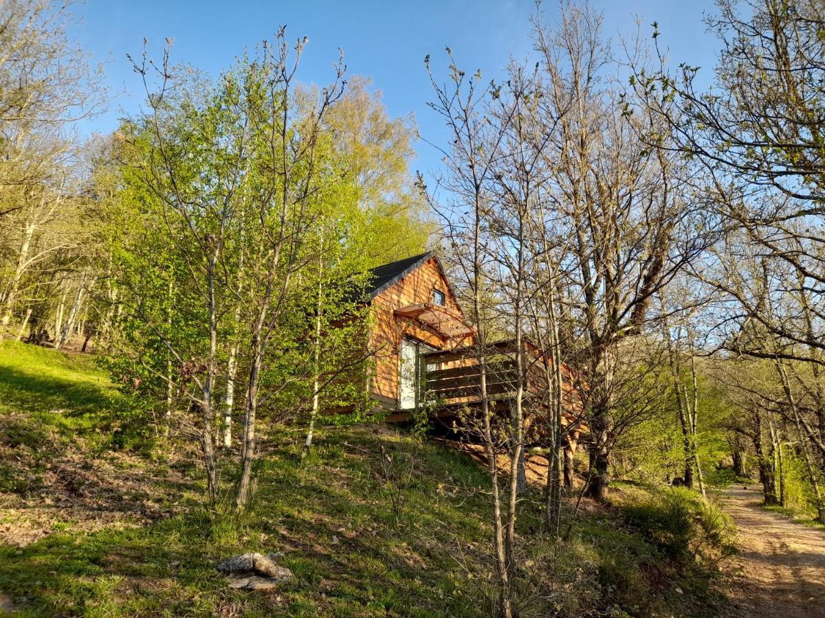 Mon Chalet Au Coeur Des Cevennes Vebron المظهر الخارجي الصورة