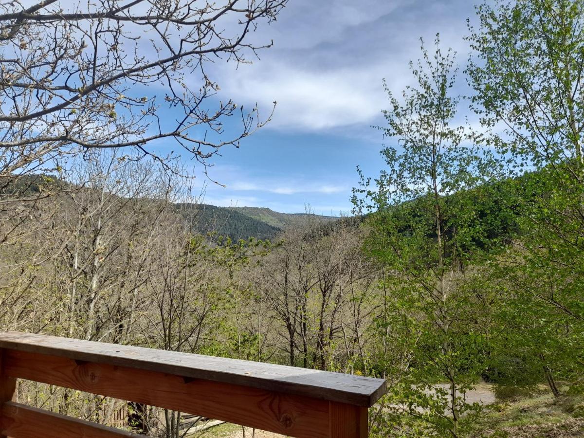 Mon Chalet Au Coeur Des Cevennes Vebron المظهر الخارجي الصورة
